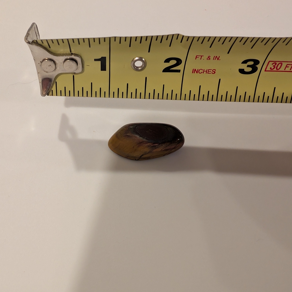 Tiger's Eye Polished Stone #4